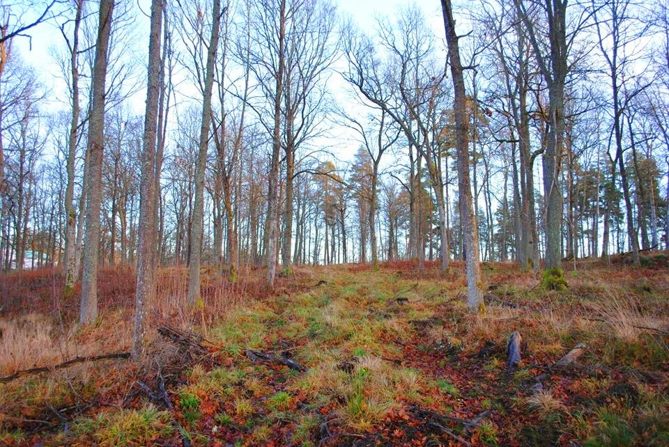 Lilliehööks väg 6 – bild 12