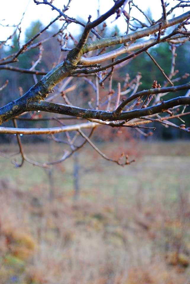 Lilliehööks väg 6 – bild 13