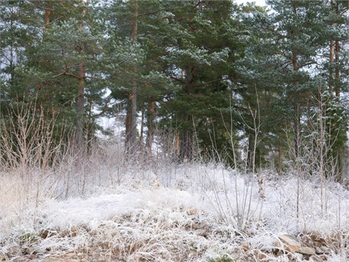 Lilliehööks väg 6