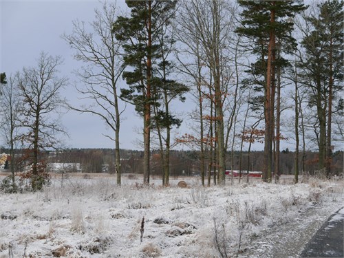 Lilliehööks väg 6