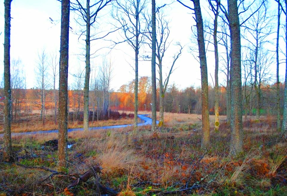 Lilliehööks väg 6 – bild 11