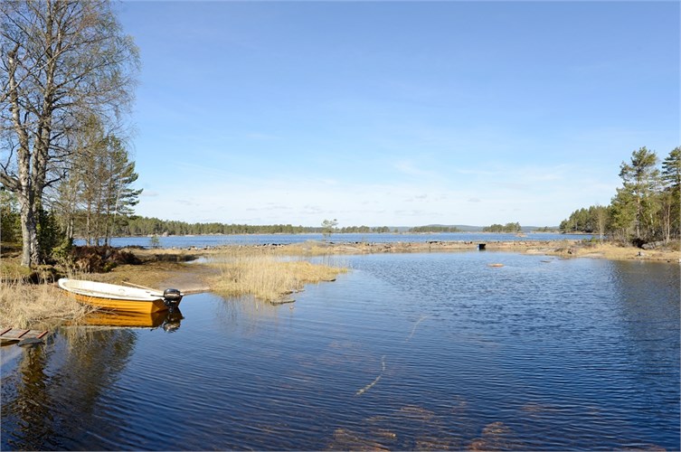Naturbilder från Västby Dammarna