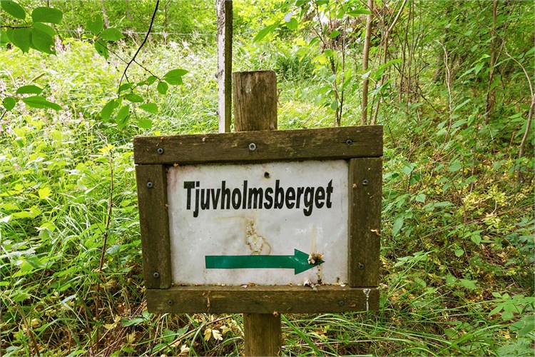 Tjuvholmen/Enholmen