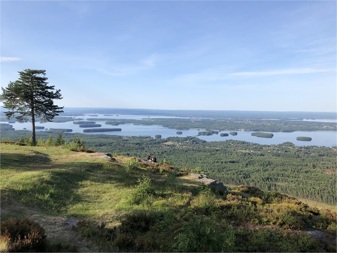 Vacker utsikt från Gesundabergets toppstuga