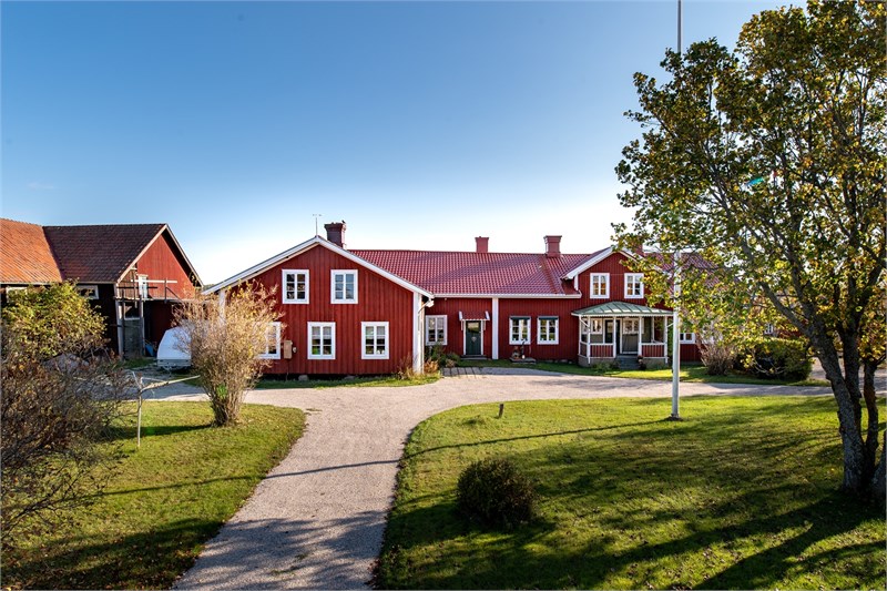 423502-54_015.jpg