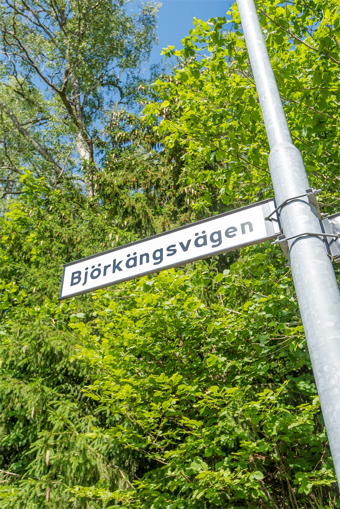 Björkängsvägen 39 – bild 6