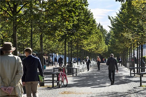 Kungsträdgården