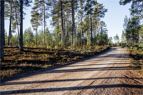 Tomten är till vänster om vägen