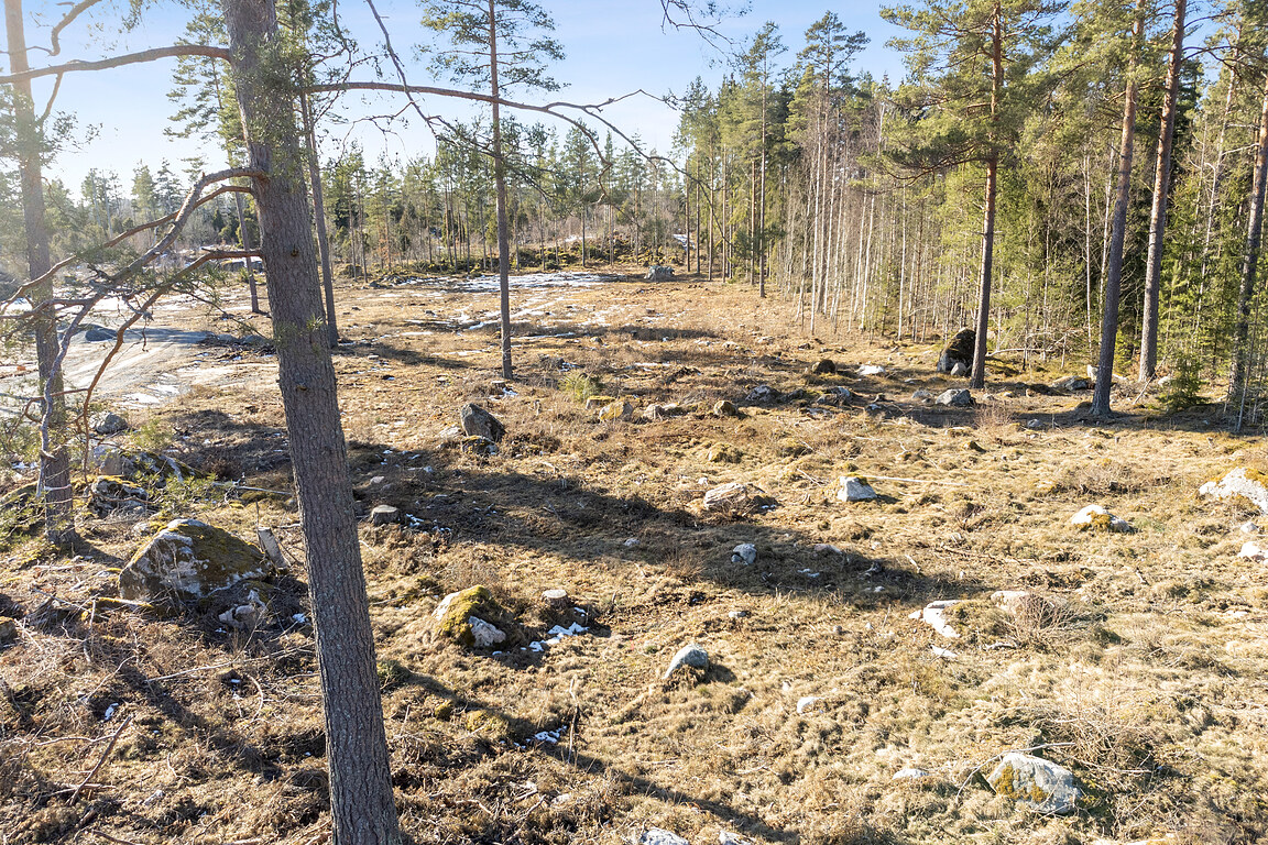Bild 2 från Fastighetsbyrån