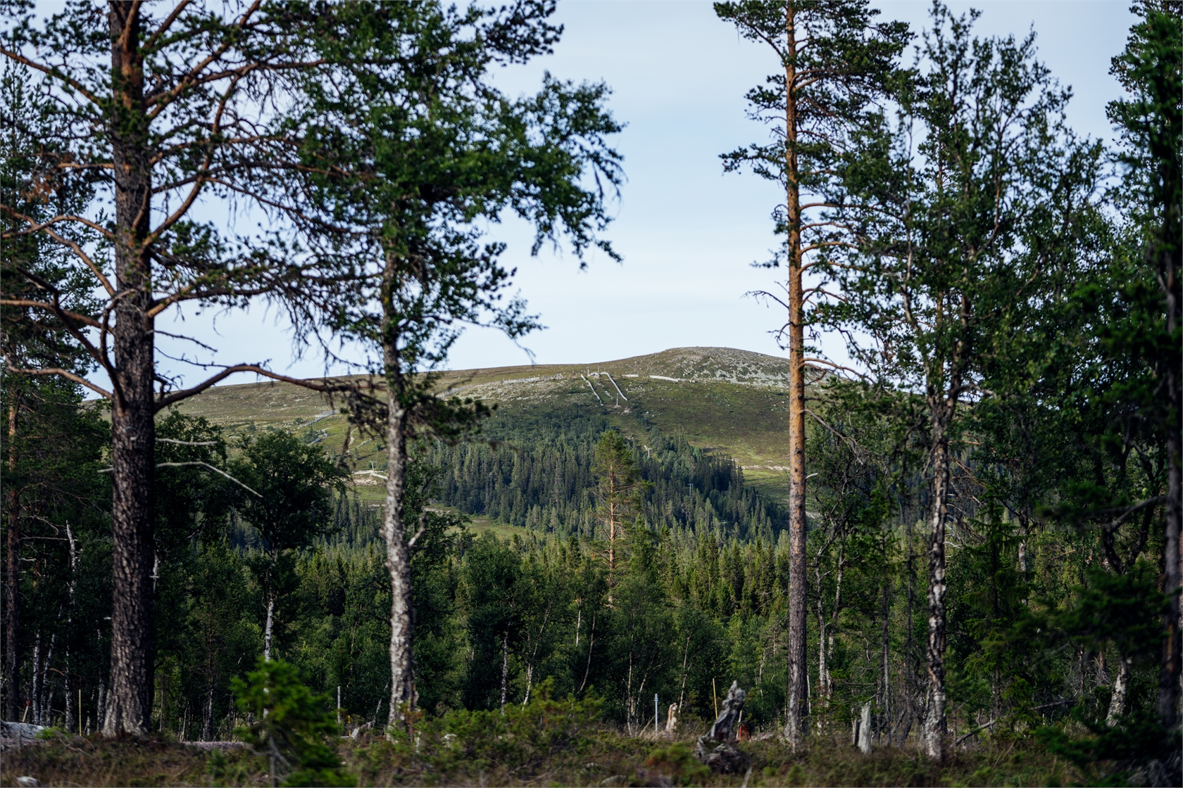 Bild 2 från Fastighetsbyrån