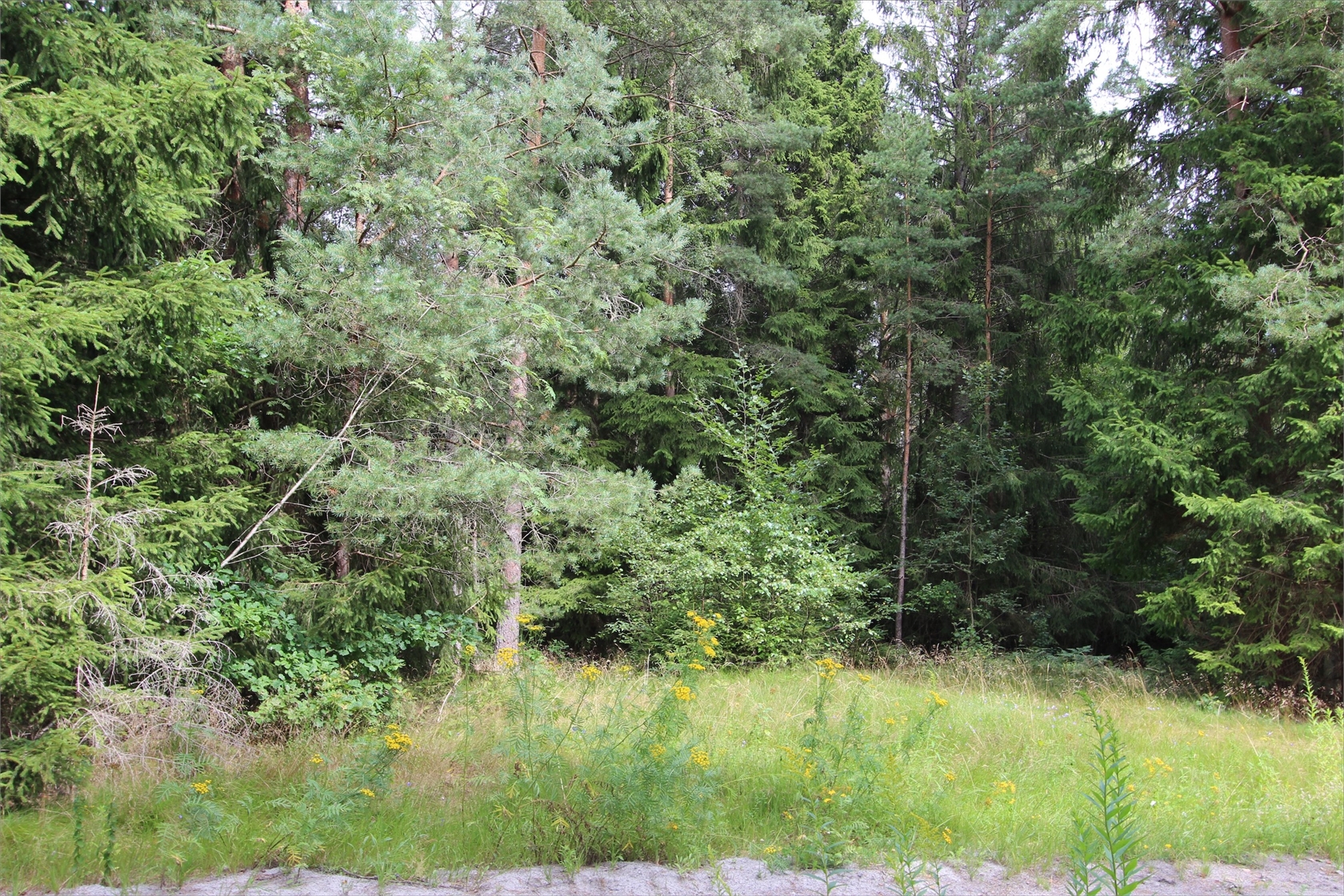 Fagerhult 1:414, 1:415 och 1:416 – bild 6