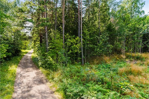 Gjuterivägen 