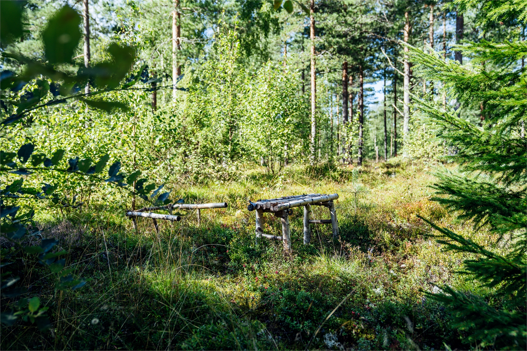 Lostigen 9 – bild 31