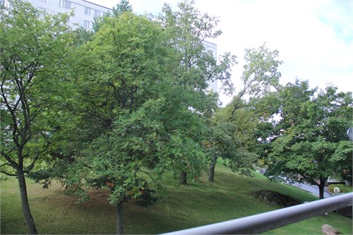 Mörbyleden 18