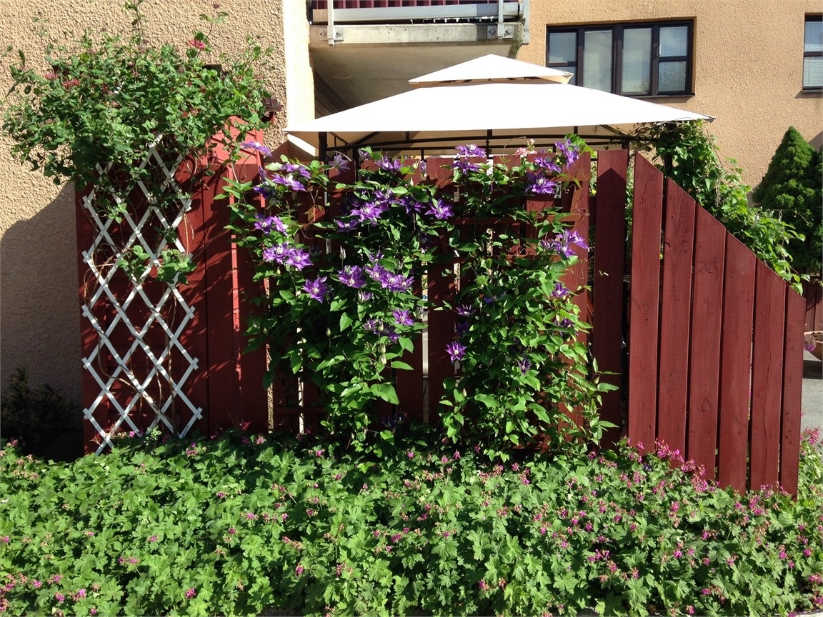 Langelandsgatan – bild 8