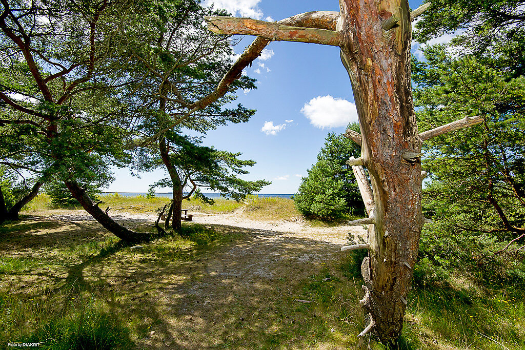Sanda Stora Varbos 840, stuga 19 – bild 22