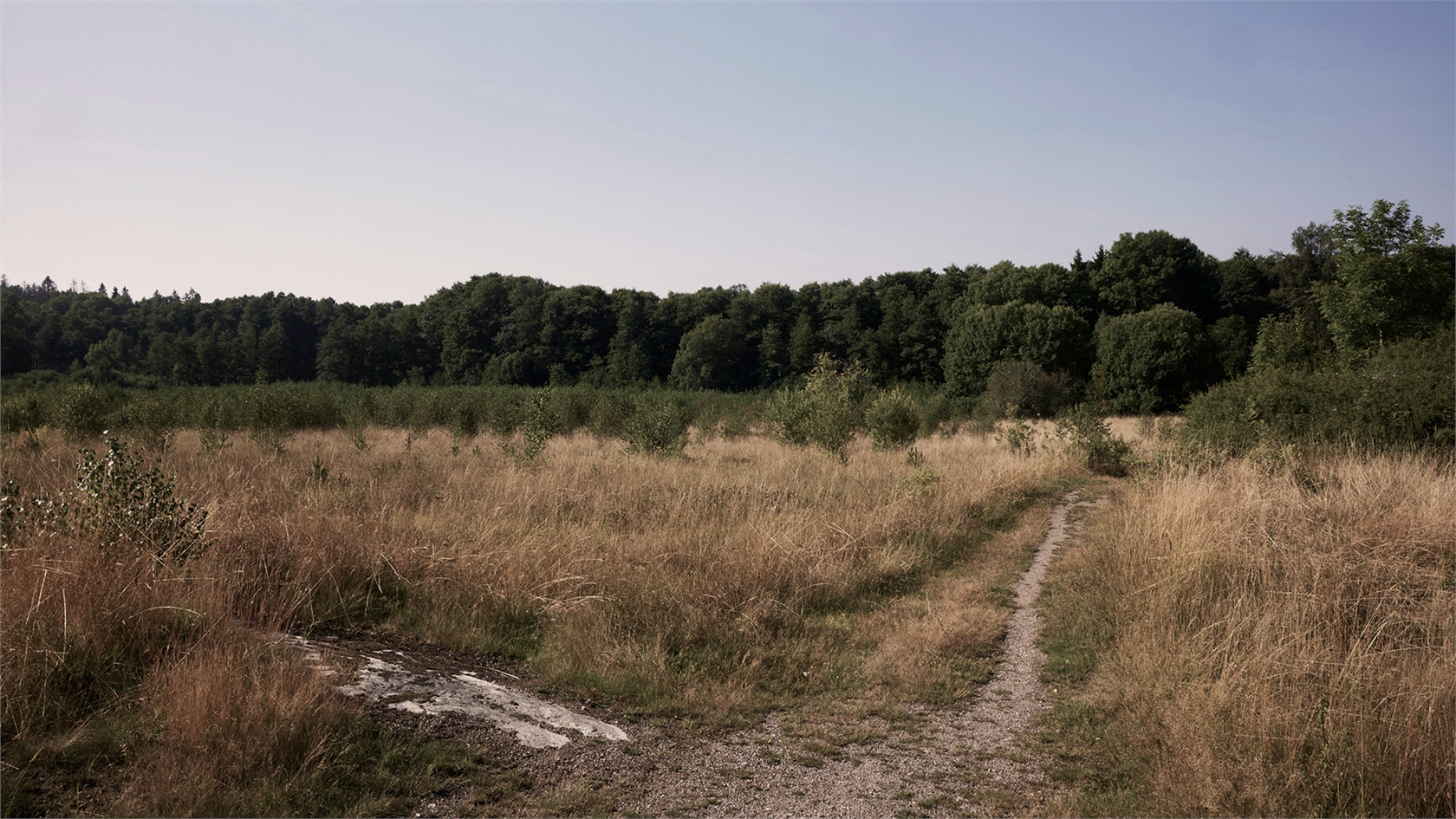 Brobyholm – bild 7
