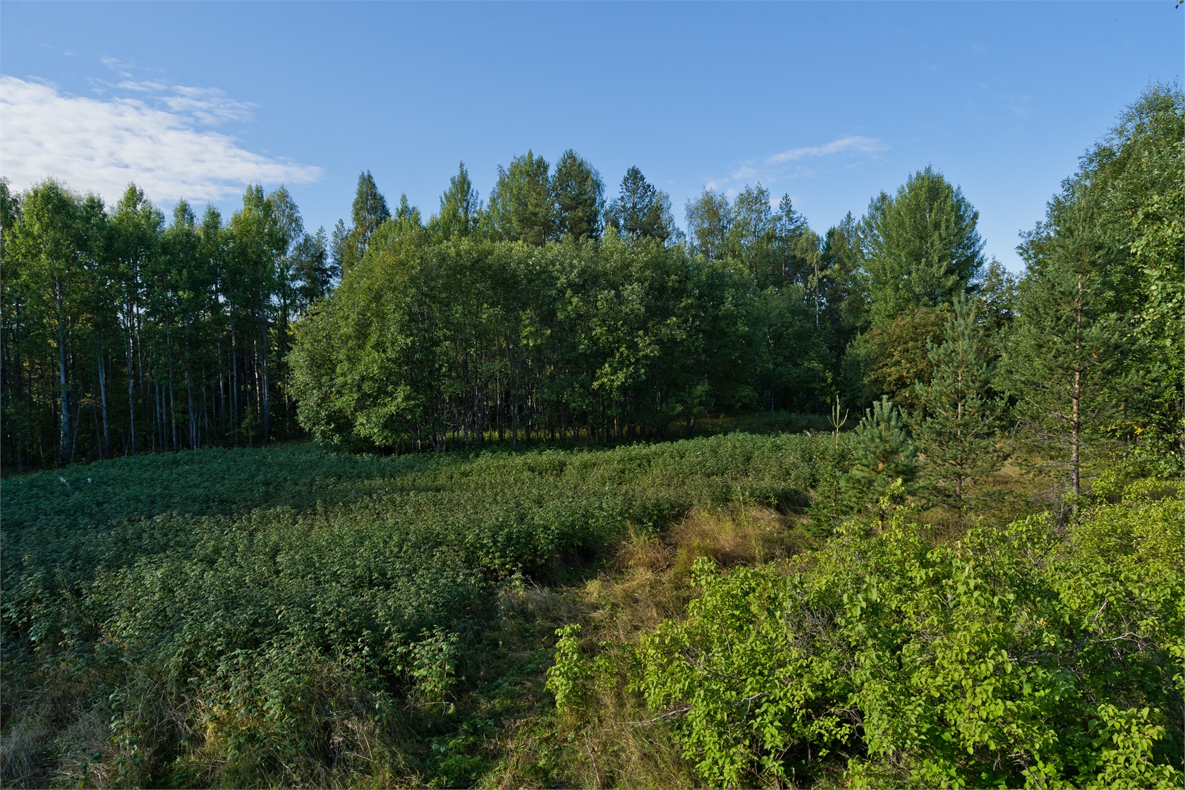 Bastunäs 41 – bild 14