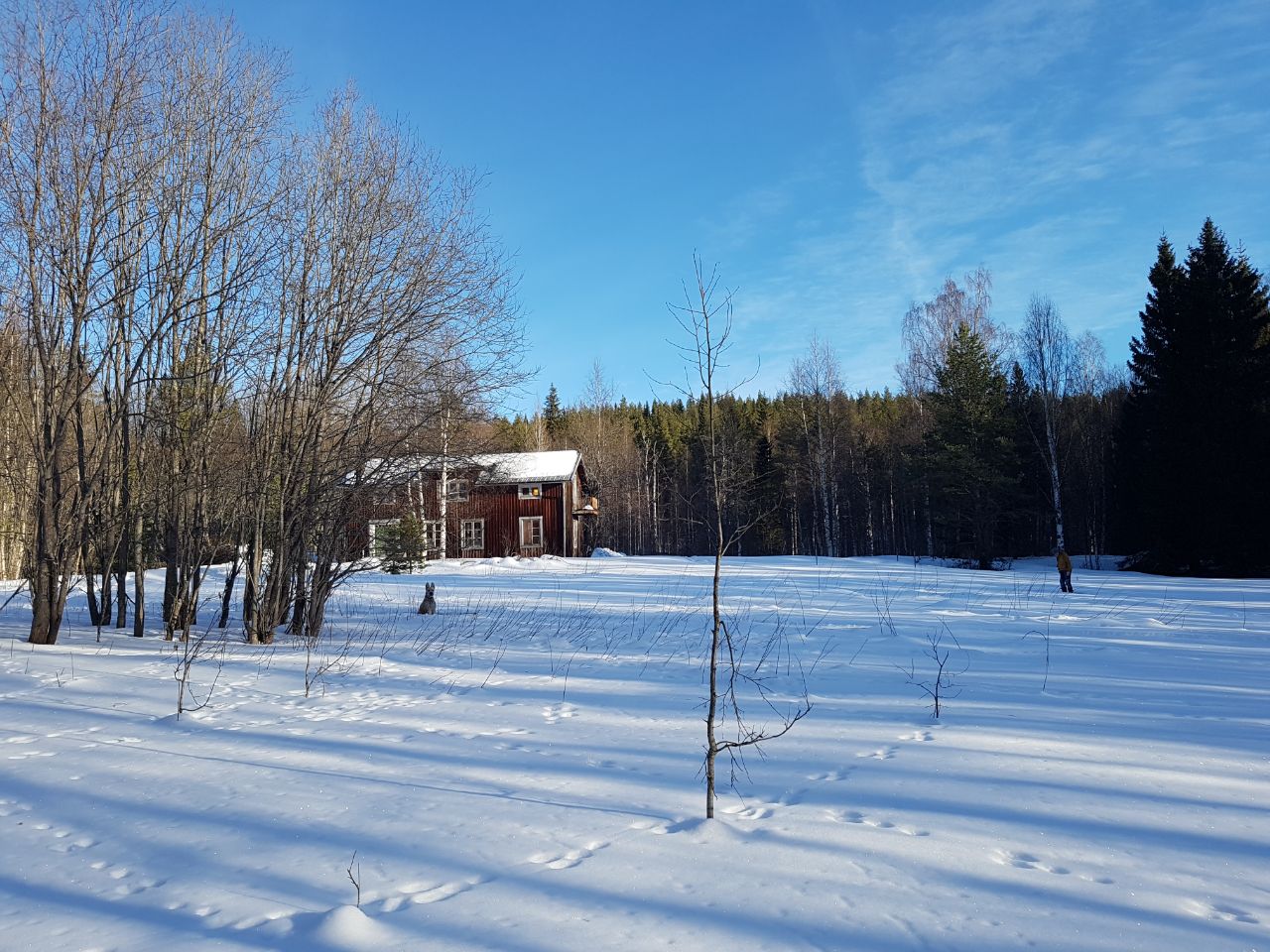 Bastunäs 41 – bild 4