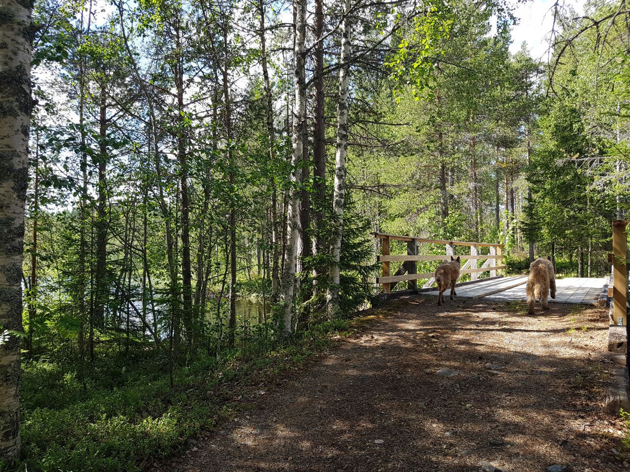 Bastunäs 41 – bild 10