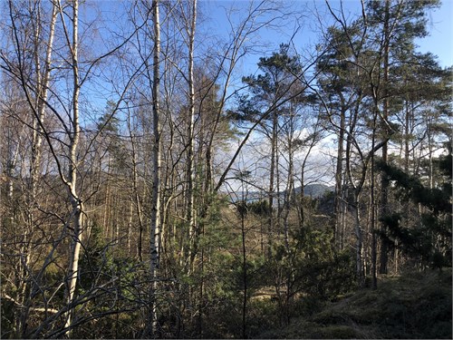 Saltskärsvägen 9