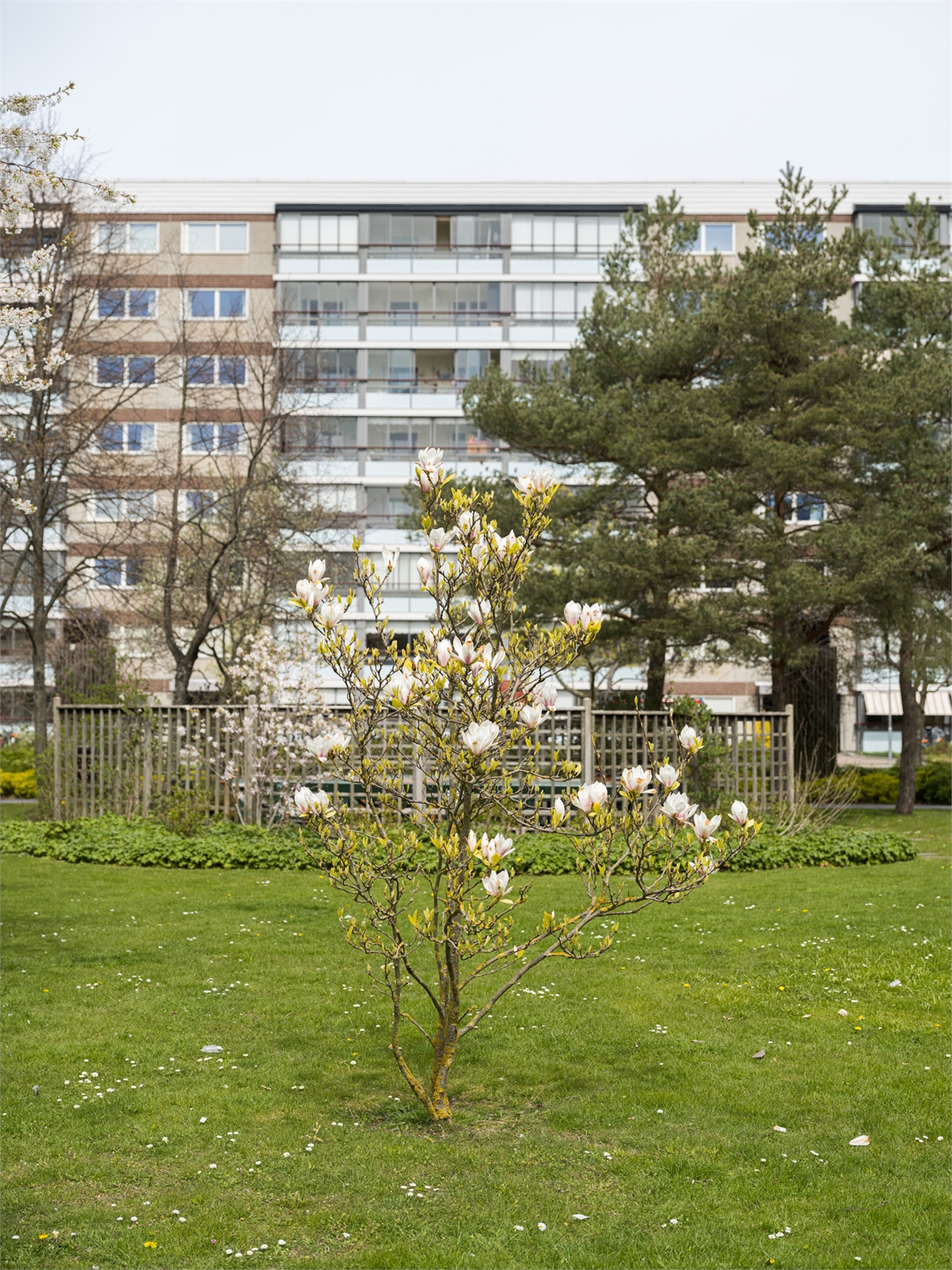 Aktrisgatan 18 – bild 34