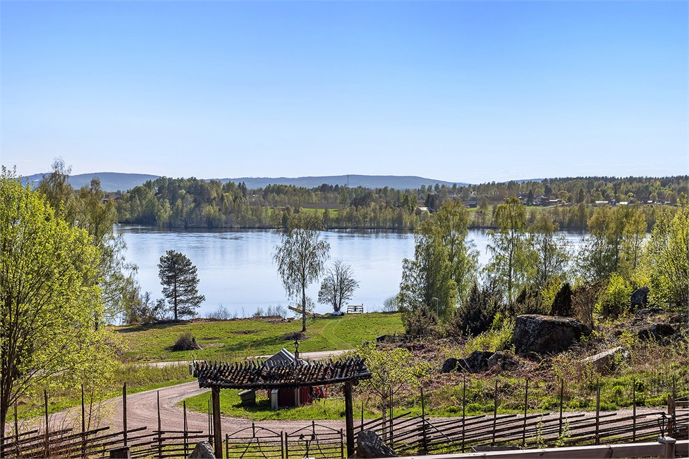 Utsikten från tomten