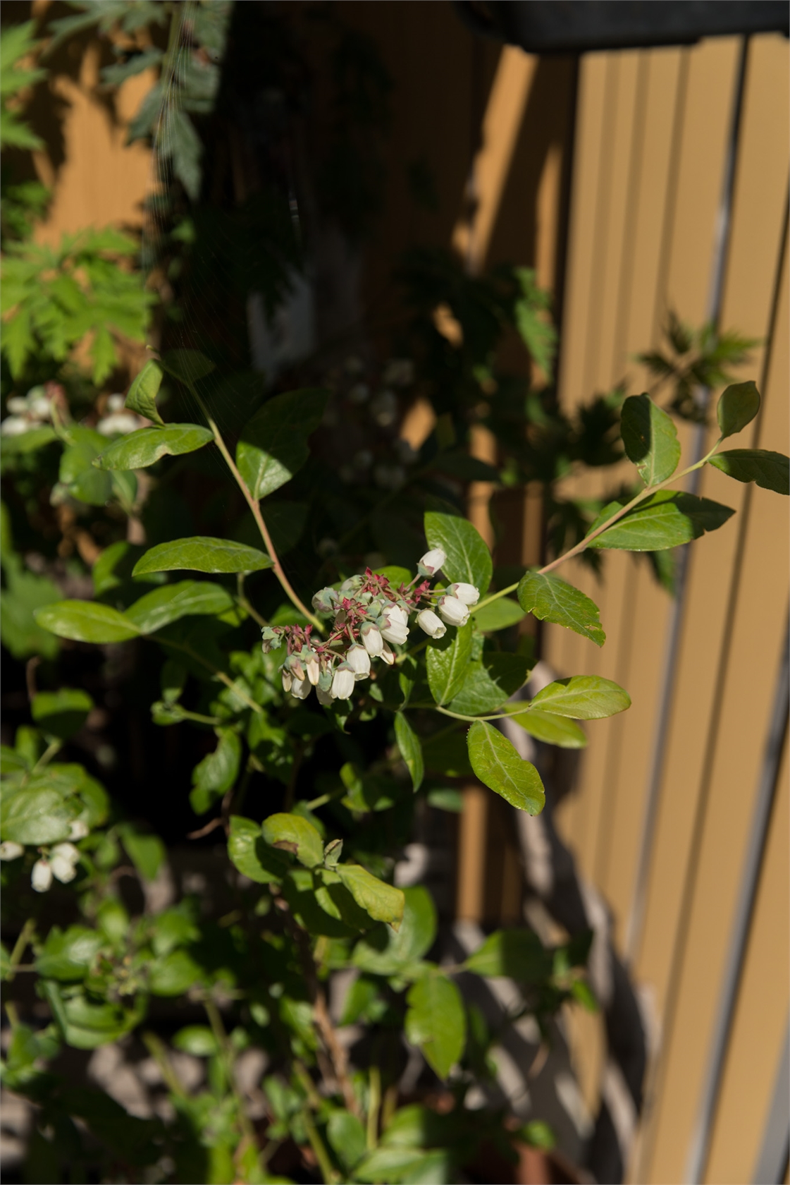 Atles Gata 13 – bild 6