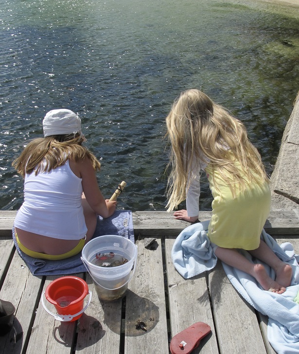 Vettnevägen 8 – bild 18