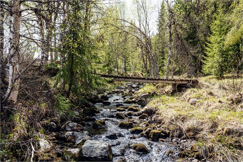 Fjätvägen 19