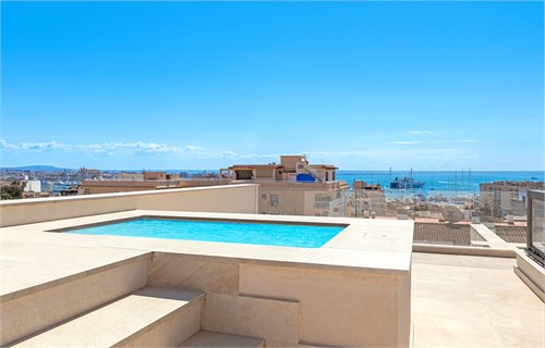 El Terreno | Mallorca