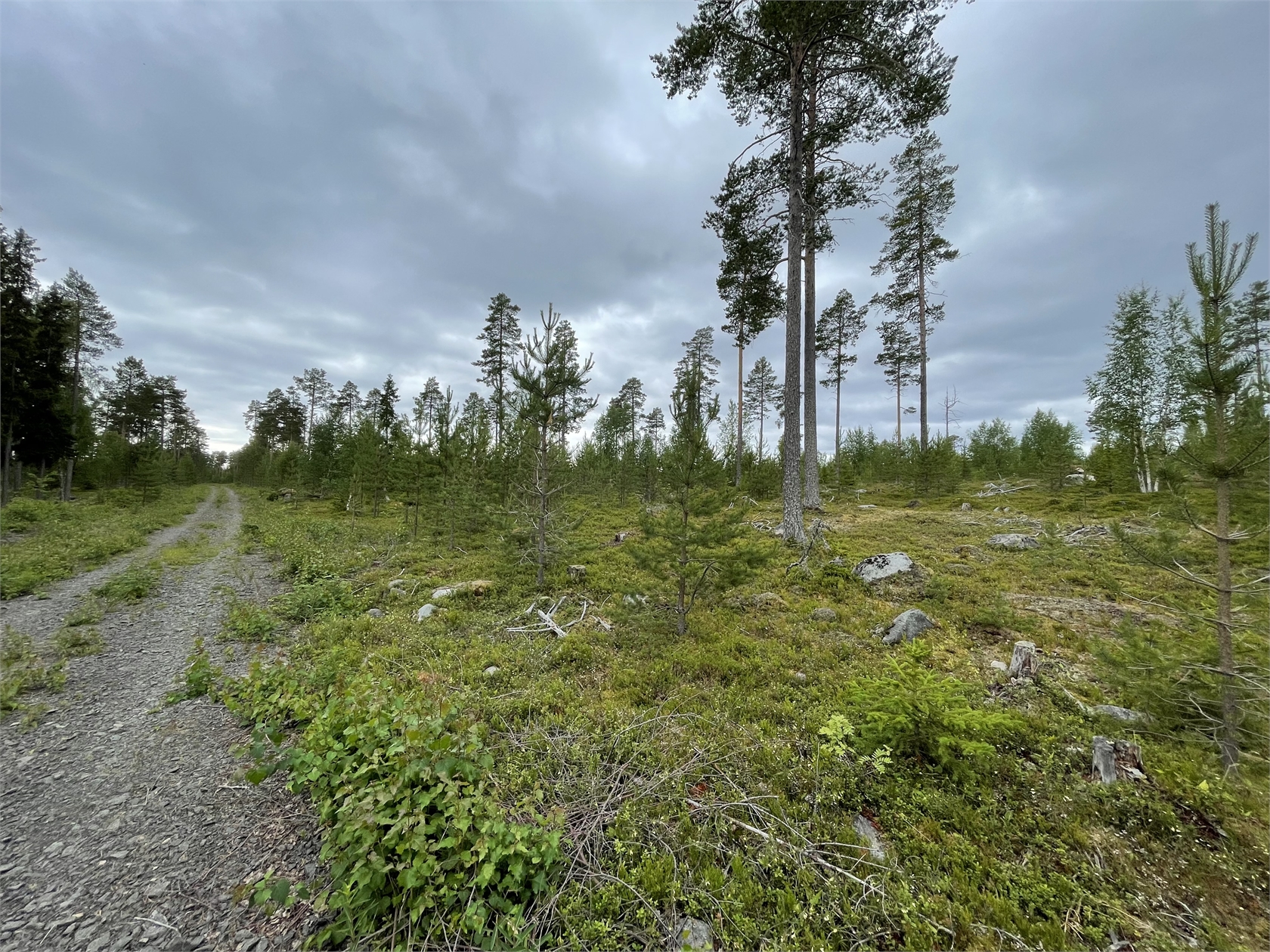 Bild 3 från Fastighetsbyrån