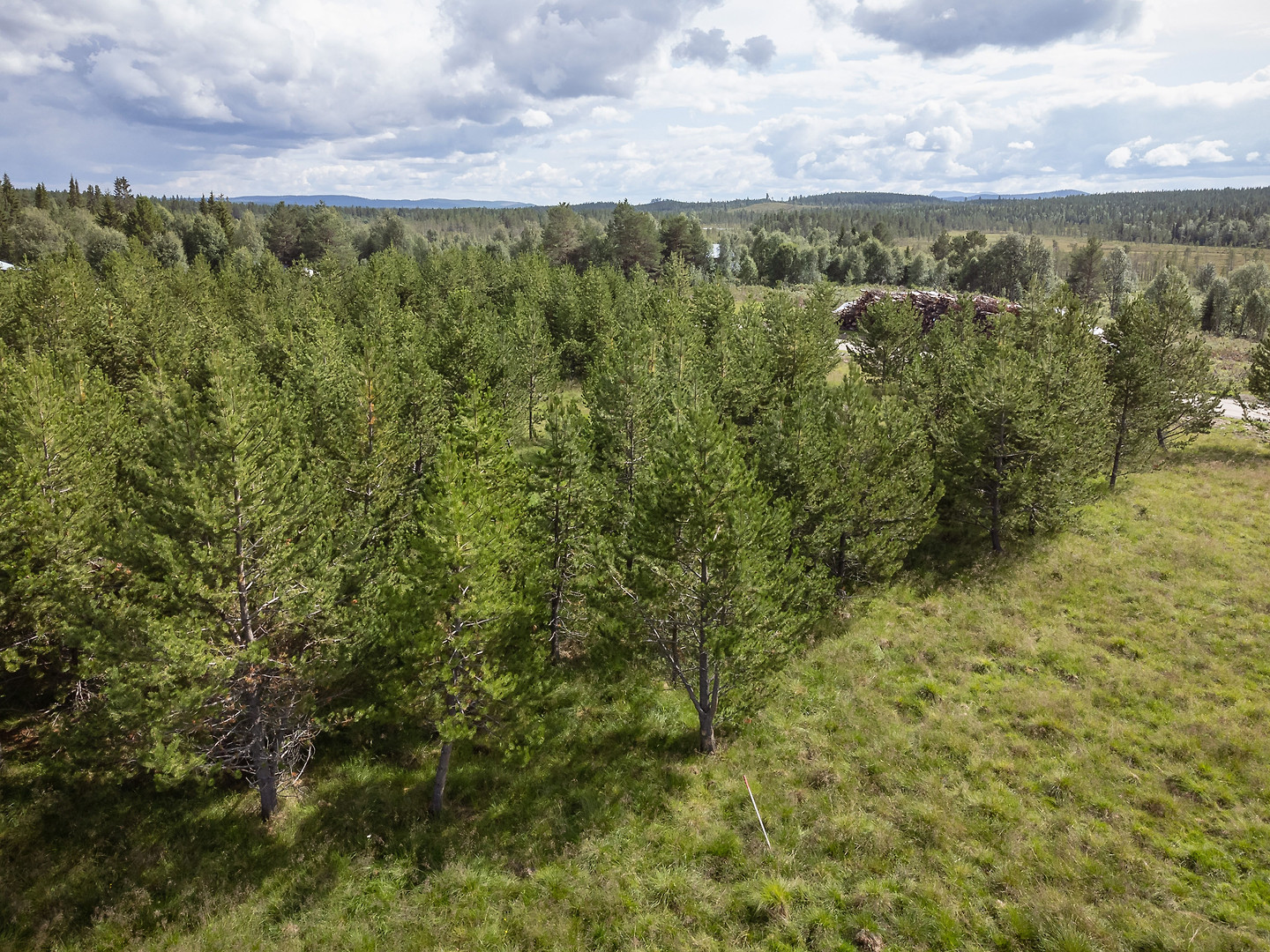 Lunnäset Särvsjövägen 328 – bild 3
