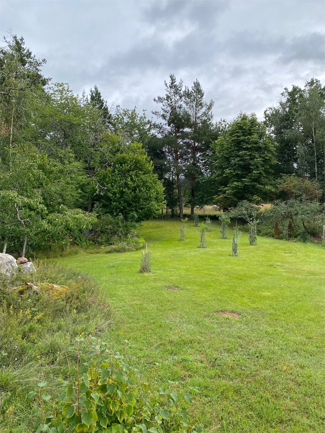 Kvickstorp 1:22 – bild 3