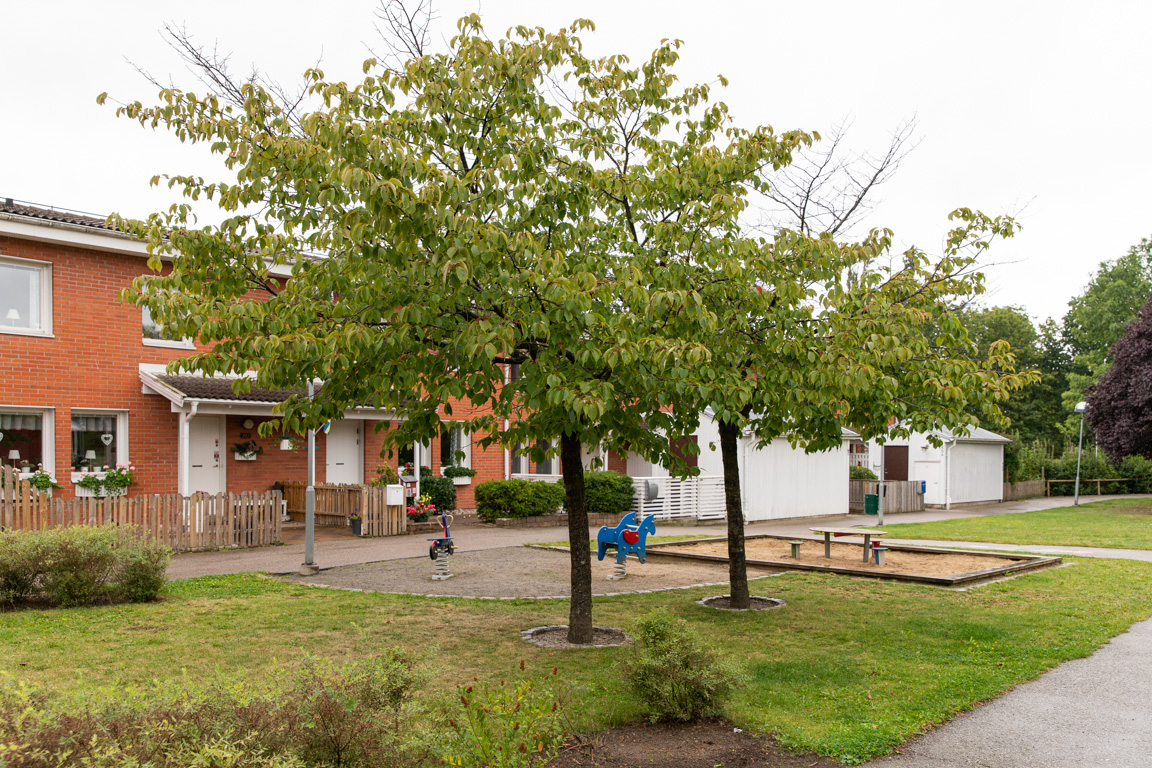 Svågertorpsvägen 39 – bild 4