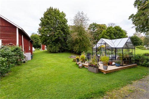 Trädgård