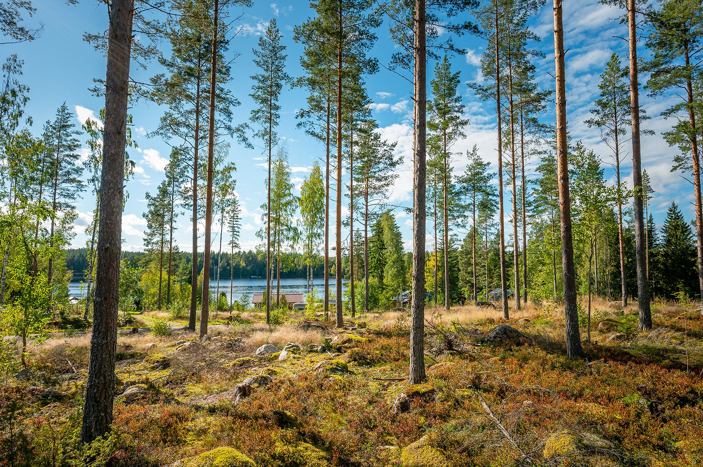 Hålldammsvägen – bild 6
