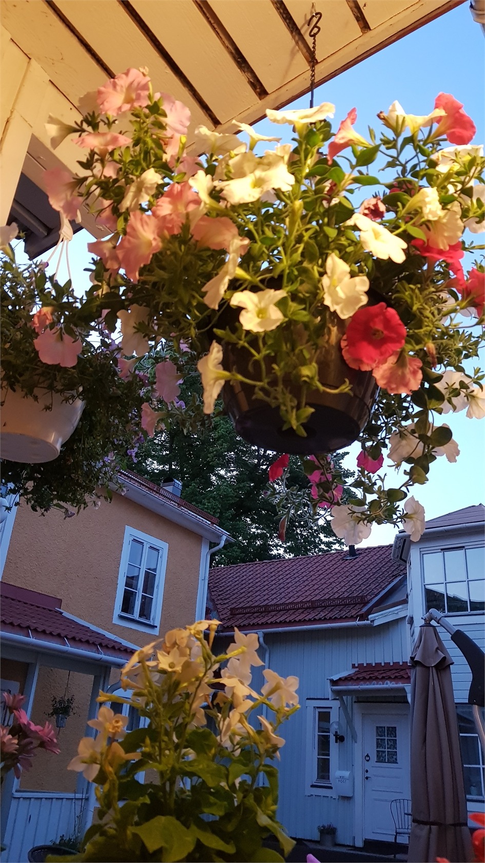 Västra Långgatan 24 – bild 29