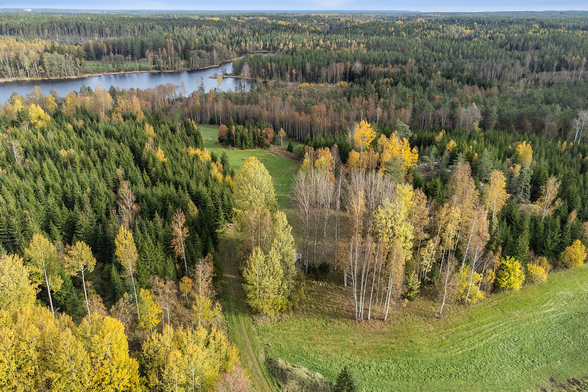 Hårketorp 1:10 – bild 4