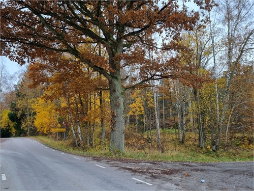 Södra Kedum Korsmaden Jord och skog