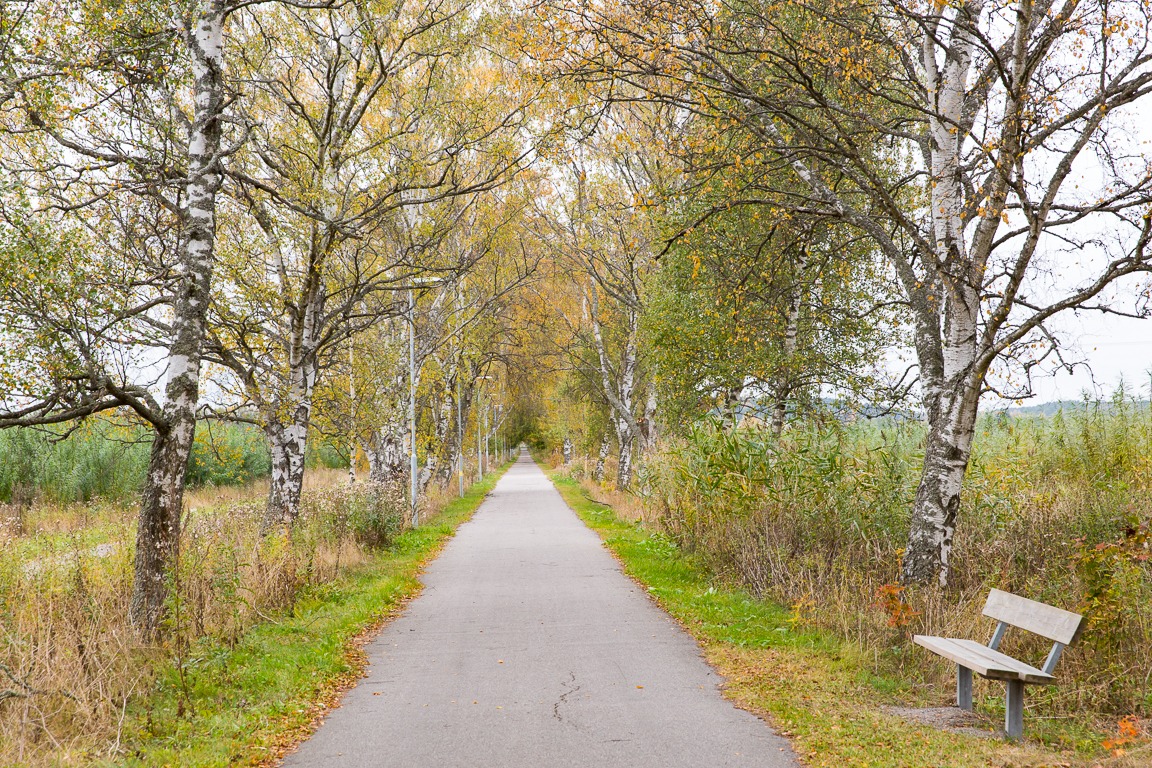 Slalomvägen 21A – bild 31