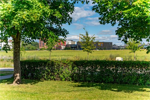 Trädgård tillhörande förening