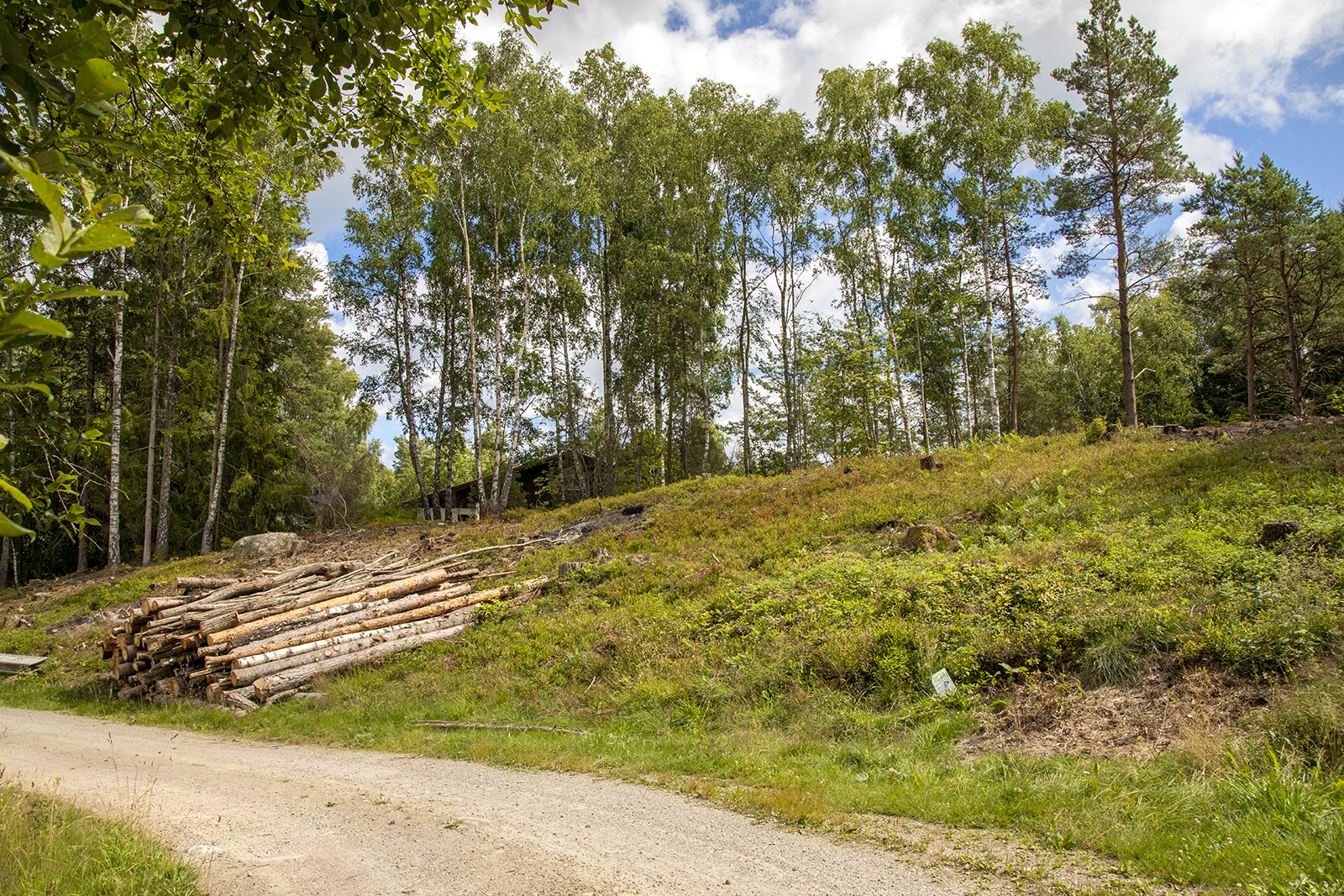 Åsen 617 – bild 11