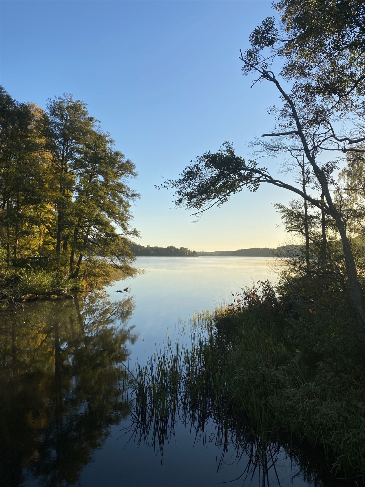 Skalla Hamnväg 16B – bild 40