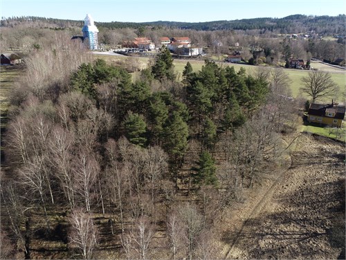 Vackert inbäddad av skog och grönska