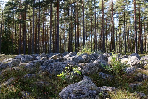 Jordbro gravfältsområde