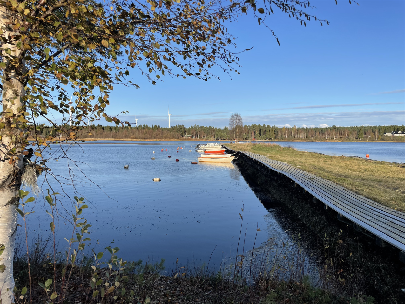 Sikeå hamn 118 – bild 8