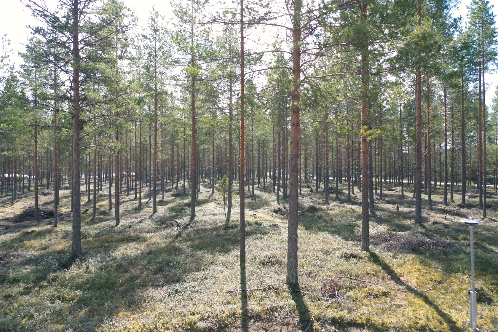 Bild 3 från Fastighetsbyrån