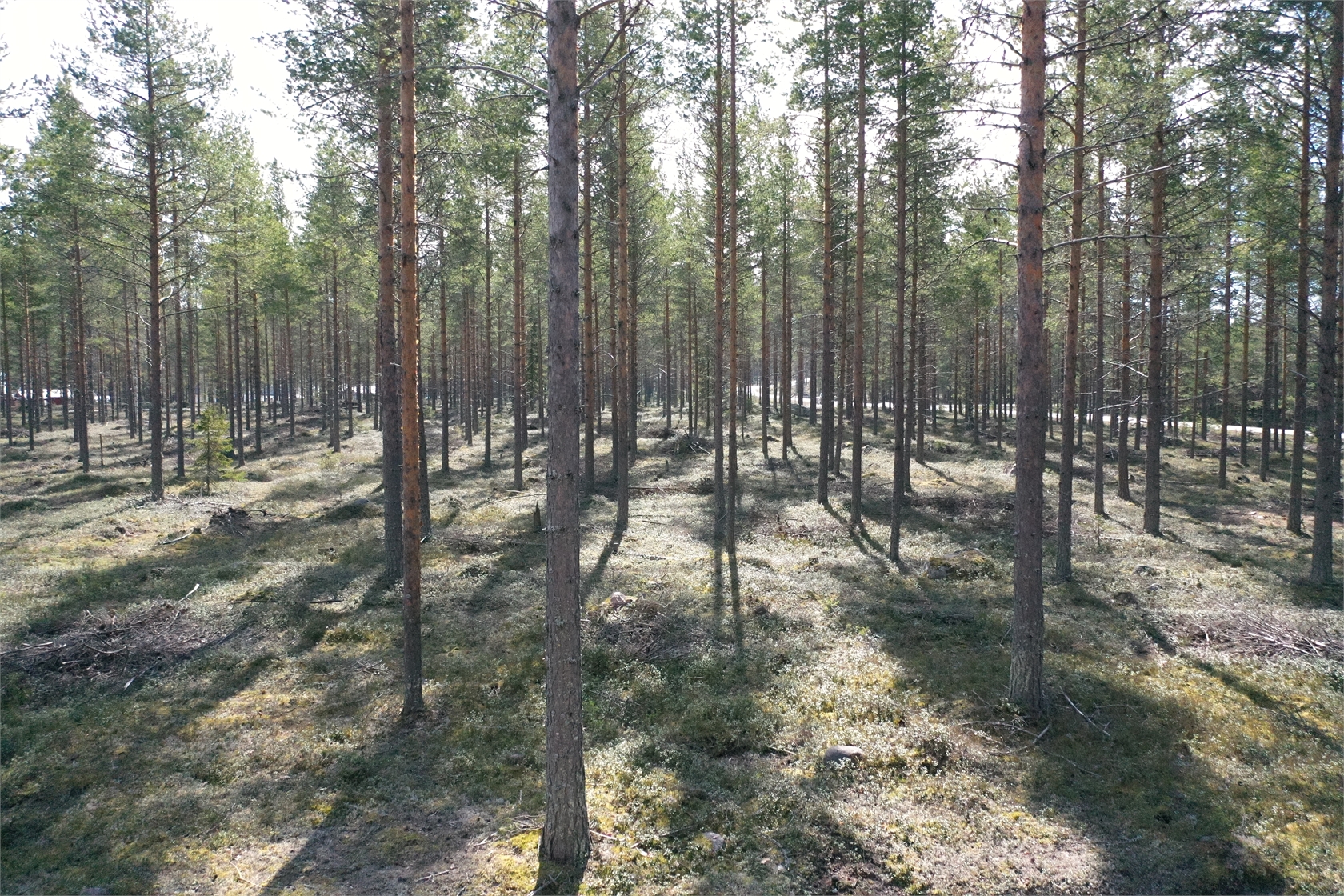 Bild 3 från Fastighetsbyrån
