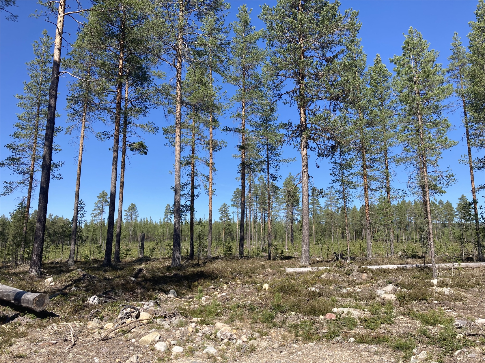 Bild 3 från Fastighetsbyrån